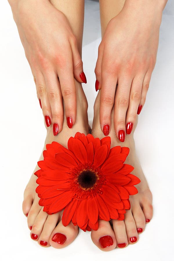 Manicure e pedicure rossi con il fiore fotografia stock Manicure e pedicure rossi con il fiore fotografia stock