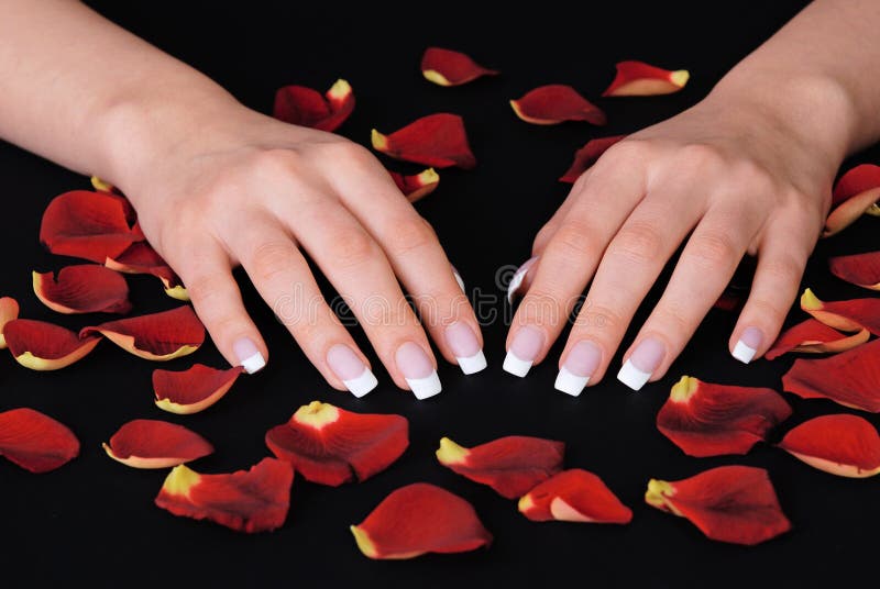 Beautiful woman hands with french manicure lying on black background with rose petals. Beautiful woman hands with french manicure lying on black background with rose petals