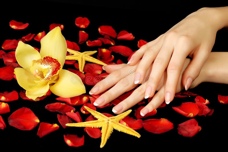 Beautiful hands with rose petals and delicate orchid. Beautiful hands with rose petals and delicate orchid