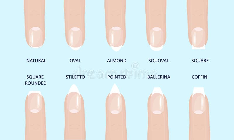 Manicure Most Popular Fashion Nail Shapes Flat Style Vector Illustration Set Isolated Light Blue Background. Stock Vector - Illustration of edge, icon: 223475138 Manicure Most Popular Fashion Nail Shapes Flat Style Vector Illustration Set Isolated Light Blue Background. Stock Vector - Illustration of edge, icon: 223475138