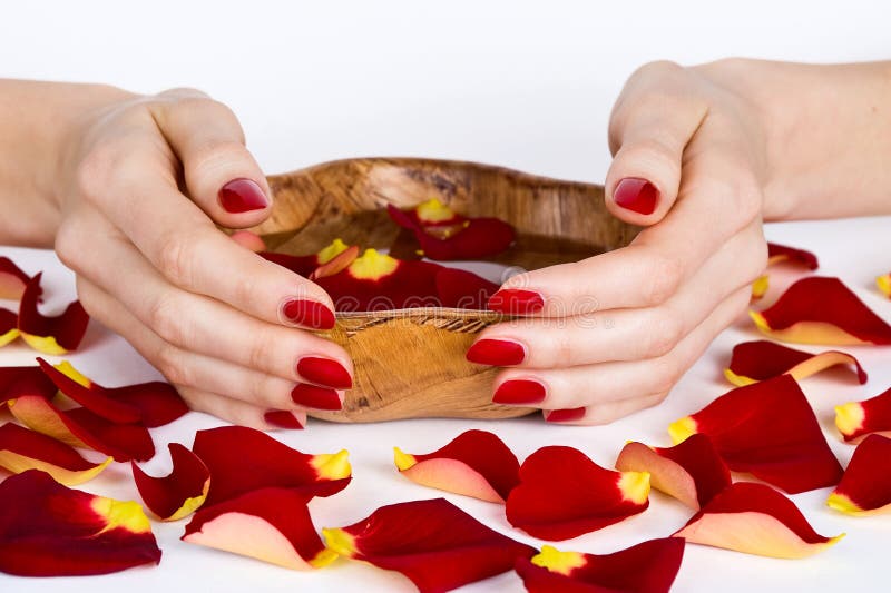 Woman hands with red manicure during spa with rose petals holding a bowl. Woman hands with red manicure during spa with rose petals holding a bowl
