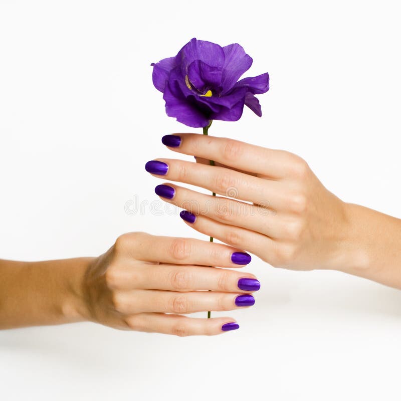 Manicured hands holding flower