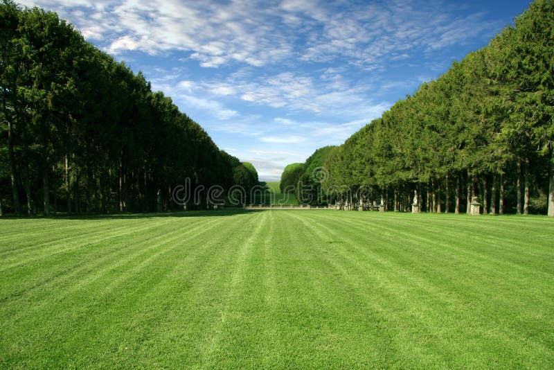 Manicured Lawn - Large Green Field