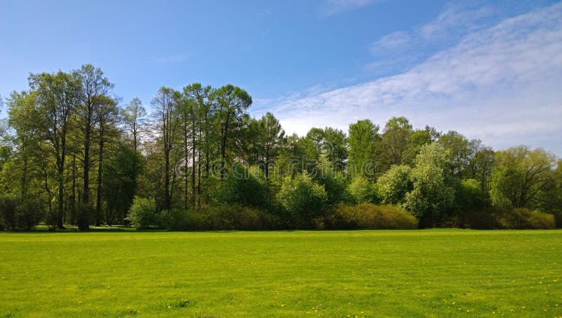 Manicured lawn in a neat Park with trees in the background