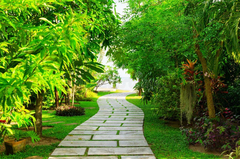 Way to beach in tropical resort. Way to beach in tropical resort.