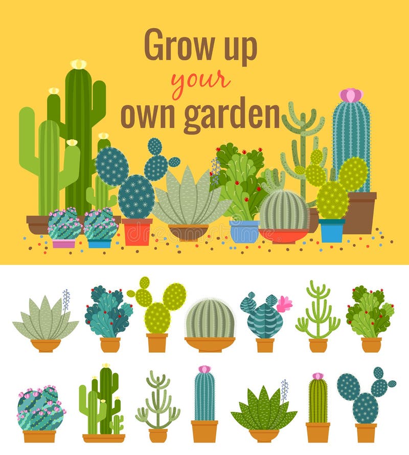 Manifesto domestico del giardino del cactus illustrazione vettoriale Manifesto domestico del giardino del cactus illustrazione vettoriale