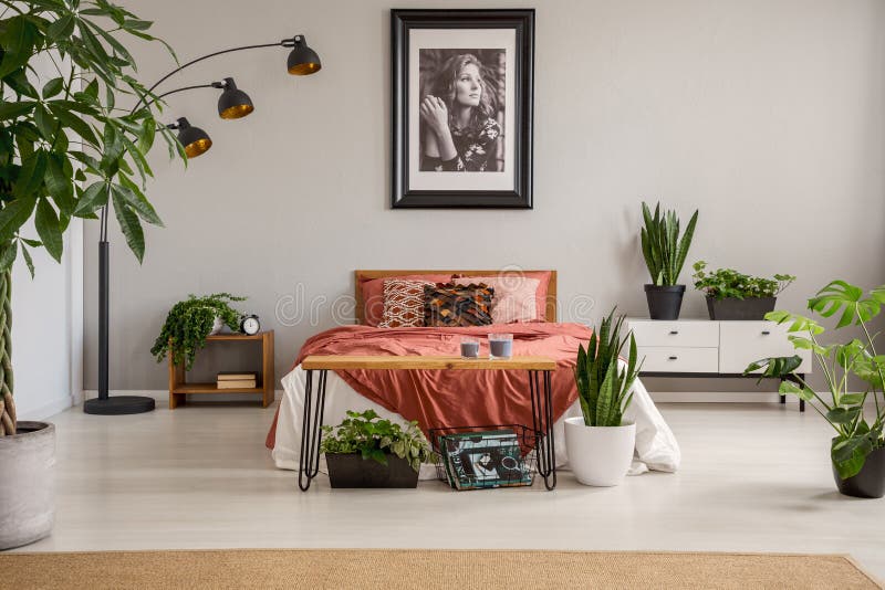 Manifesto sopra il letto rosso con la coperta nell'interno grigio della camera da letto con le piante ed il tappeto fotografia stock
