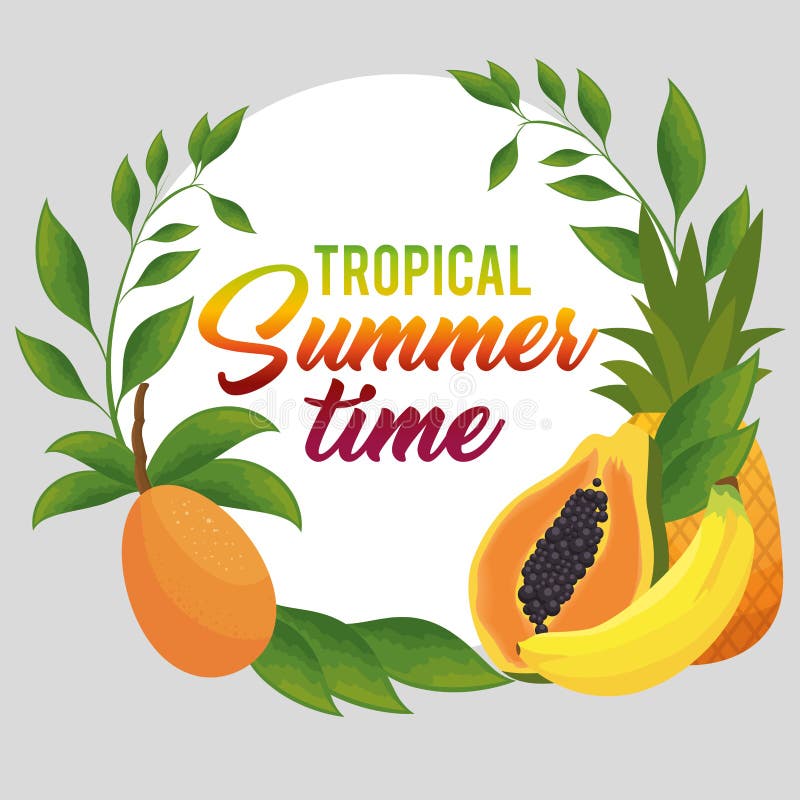 Manifesto tropicale di ora legale illustrazione vettoriale Manifesto tropicale di ora legale illustrazione vettoriale