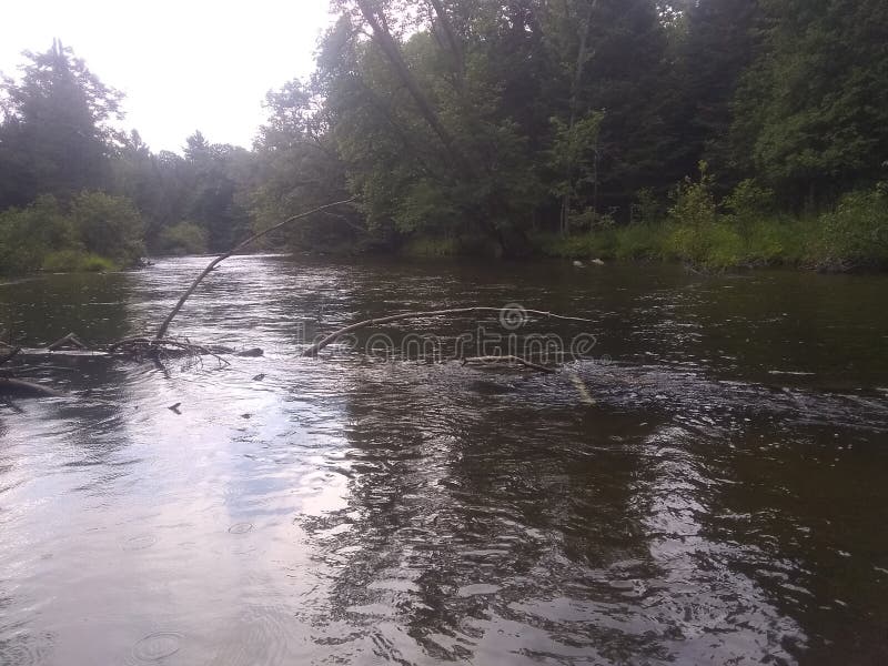 Manistee River stock photo. Image of lake, fife, michigan 123014730