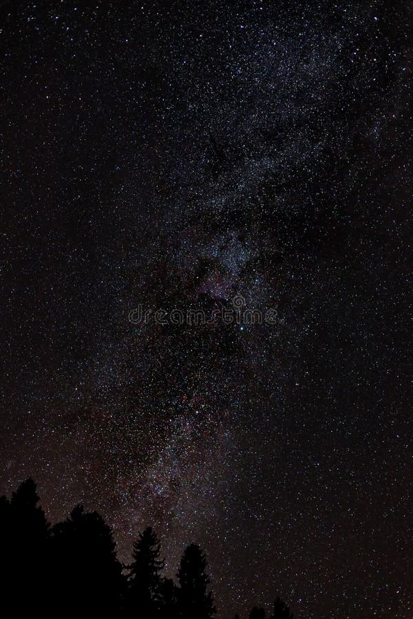 Manière laiteuse de ciel nocturne avec milliard d'étoiles et de silhouette d'arbre photo libre de droits Manière laiteuse de ciel nocturne avec milliard d'étoiles et de silhouette d'arbre photo libre de droits