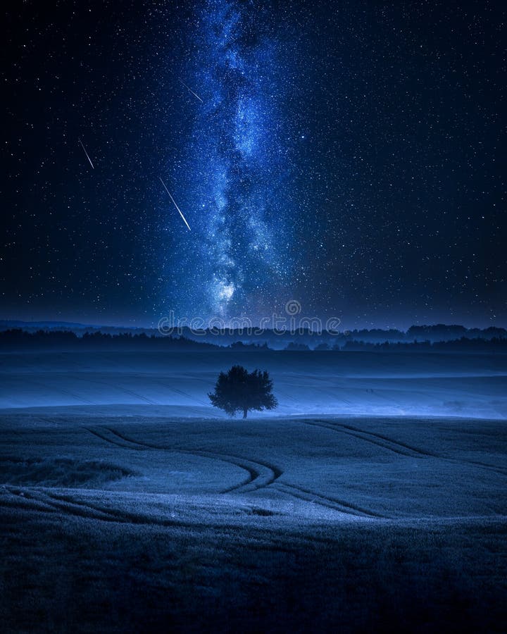 Manière laiteuse plus de classée avec un arbre en été photographie stock libre de droits Manière laiteuse plus de classée avec un arbre en été photographie stock libre de droits