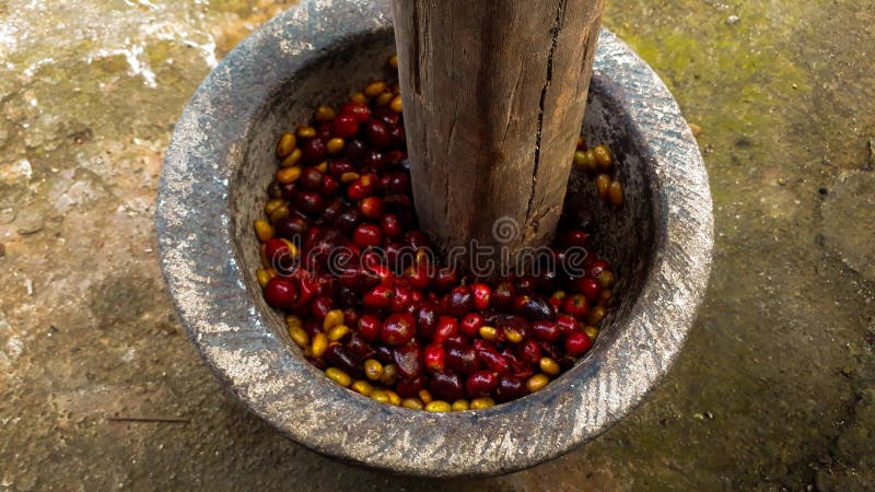 Manière traditionnelle au café écrasage de récolte photographie stock