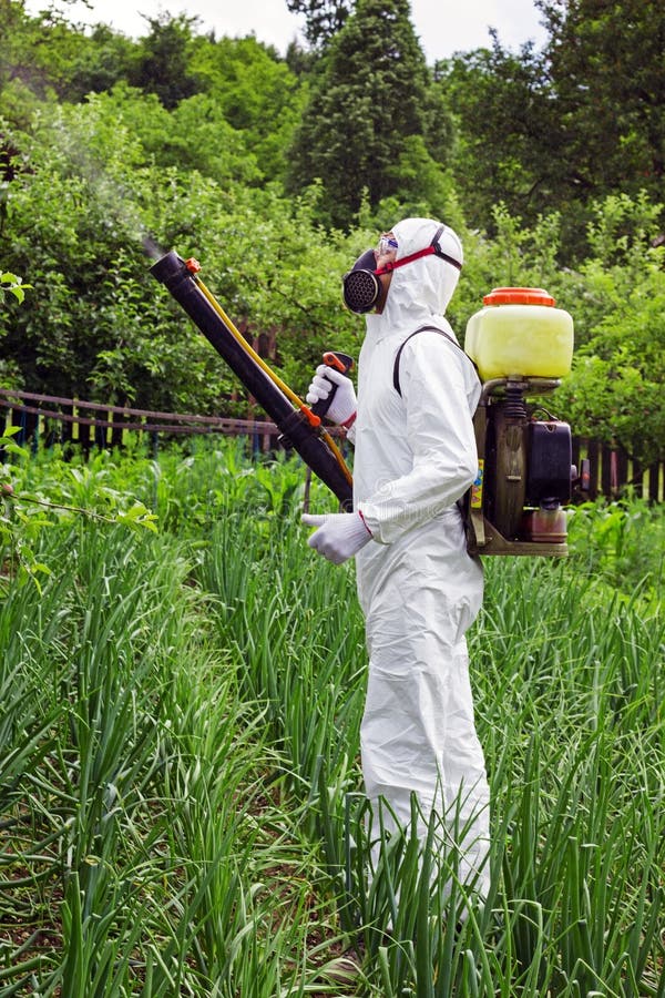 Man in full protective clothing spraying chemicals in the garden/orchard. Man in full protective clothing spraying chemicals in the garden/orchard