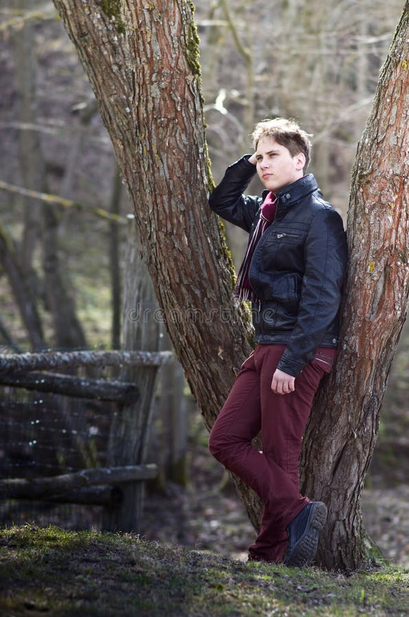der mann im baum der mann im baum