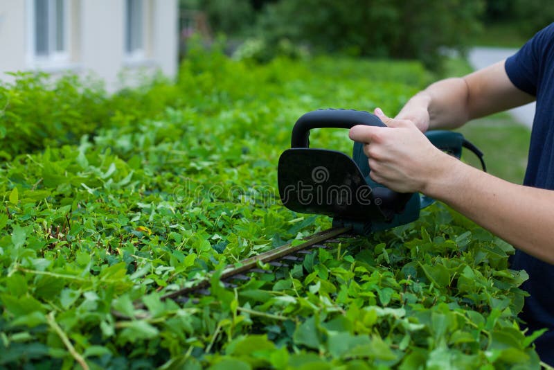 Haus- Und Gartenbäume Bedeckt Im Schnee Auf Einer Kälte, Sonniger