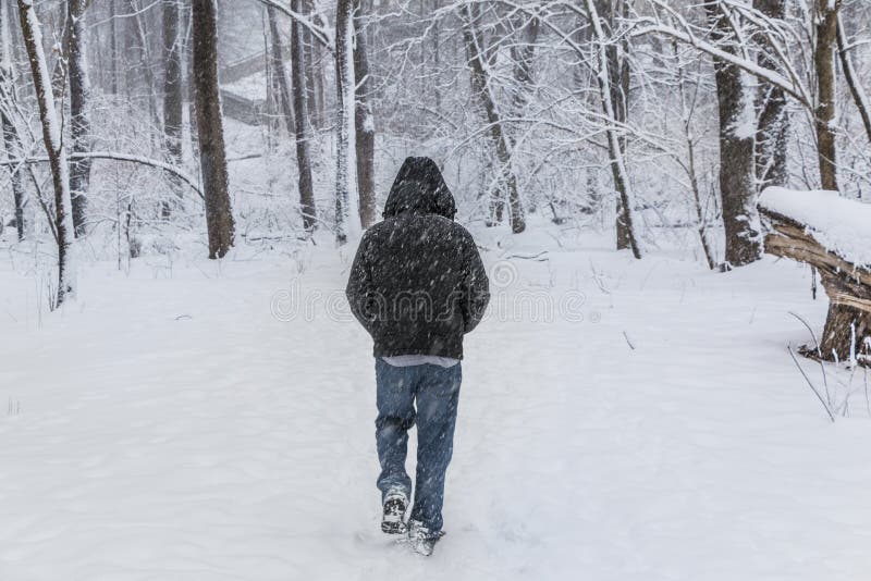 Mann, der hinunter Snowy Forest Trail geht stockbilder Mann, der hinunter Snowy Forest Trail geht stockbilder