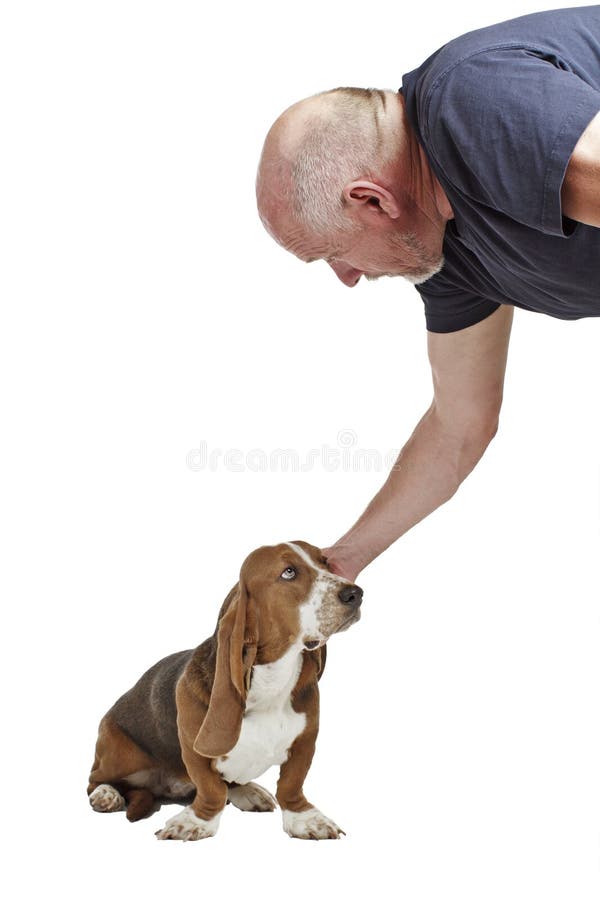 Mann erreicht unten, um Dachshundjagdhundwelpen zu tappen lizenzfreies stockbild Mann erreicht unten, um Dachshundjagdhundwelpen zu tappen lizenzfreies stockbild
