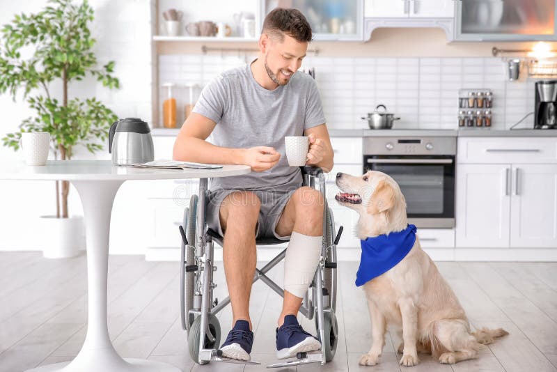 Mann Im Rollstuhl Kochend Mit ServiceHund Stockbild Bild von golden