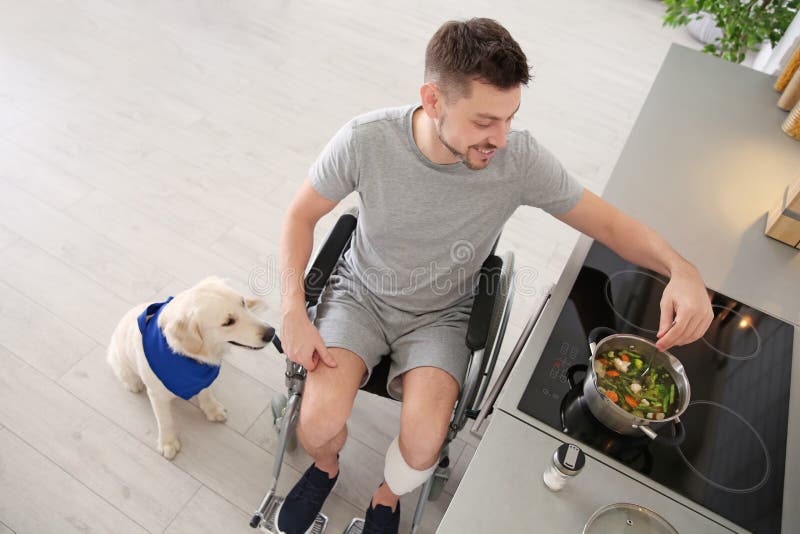 Mann Im Rollstuhl Kochend Mit ServiceHund Stockbild Bild von golden