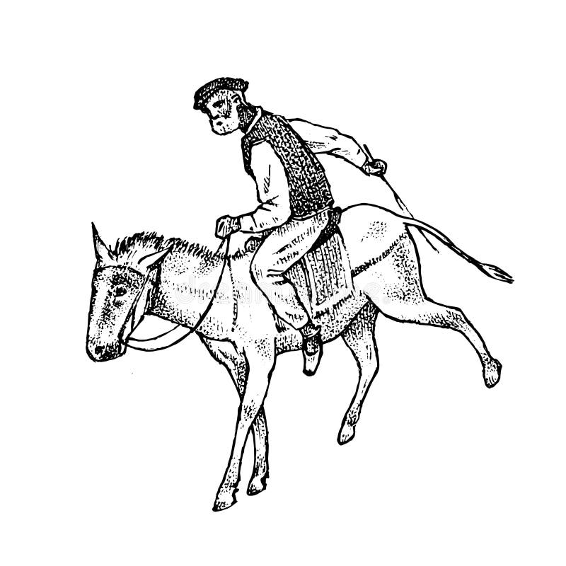 Mann Reiter In Der Nationalen Kleidung Griechisch Auf Pferd Oder Esel Symbol Von Altem Griechenland Hand Gezeichnete Gravierte We Vektor Abbildung Illustration Von Pferd Griechenland