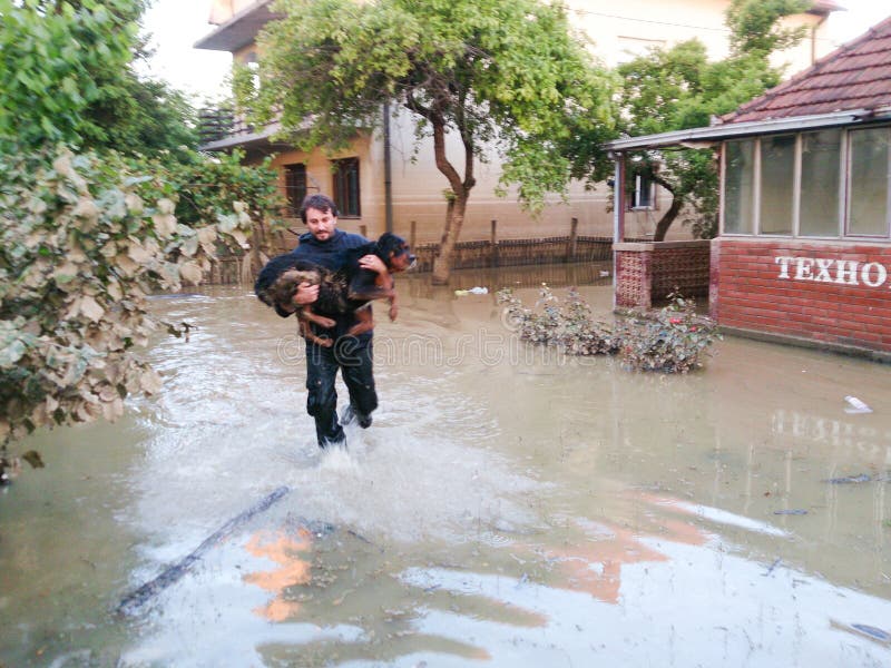 Man saves his dog from a flood, flood and disaster in town Obrenovac in Serbia, damaged houses and property, state or condition after terrible flood, destroyed and abandoned city. Man saves his dog from a flood, flood and disaster in town Obrenovac in Serbia, damaged houses and property, state or condition after terrible flood, destroyed and abandoned city