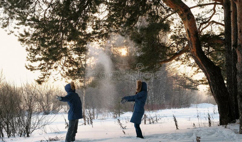 Mann und Frau, die Schneebälle im Winterwaldsonnenuntergang im Winterwald spielen stockfoto Mann und Frau, die Schneebälle im Winterwaldsonnenuntergang im Winterwald spielen stockfoto