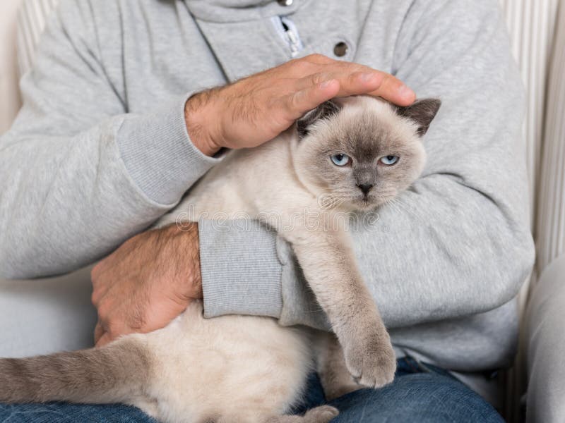 Mann und herrliche Haustierkatze lizenzfreie stockfotografie Mann und herrliche Haustierkatze lizenzfreie stockfotografie