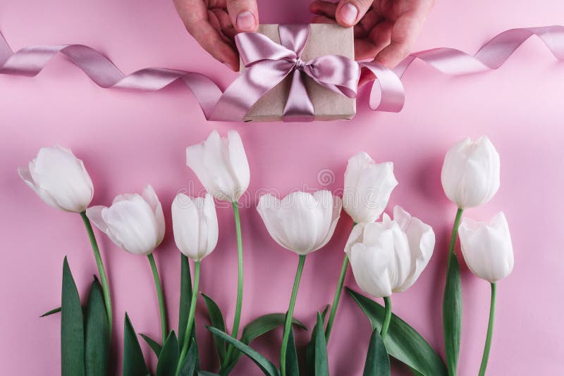 Mannelijke handen die een gift met linten over roze achtergrond met witte tulpen houden royalty-vrije stock foto Mannelijke handen die een gift met linten over roze achtergrond met witte tulpen houden royalty-vrije stock foto