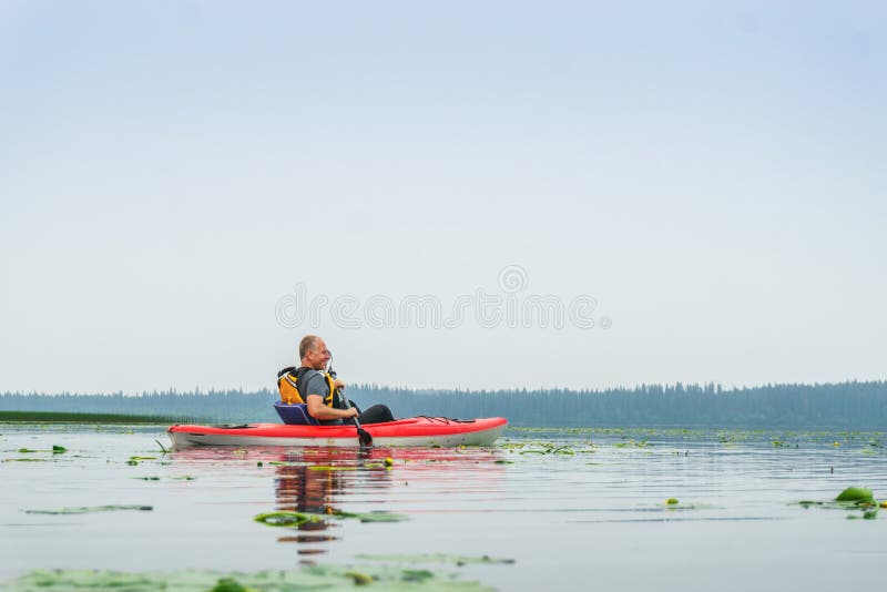 Mannen som paddlar kajaken bland lilja, blommar på sjön arkivfoto Mannen som paddlar kajaken bland lilja, blommar på sjön arkivfoto