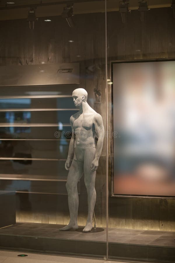 Mannequin, dummy stock image. Image of cool, mall, design 32826347