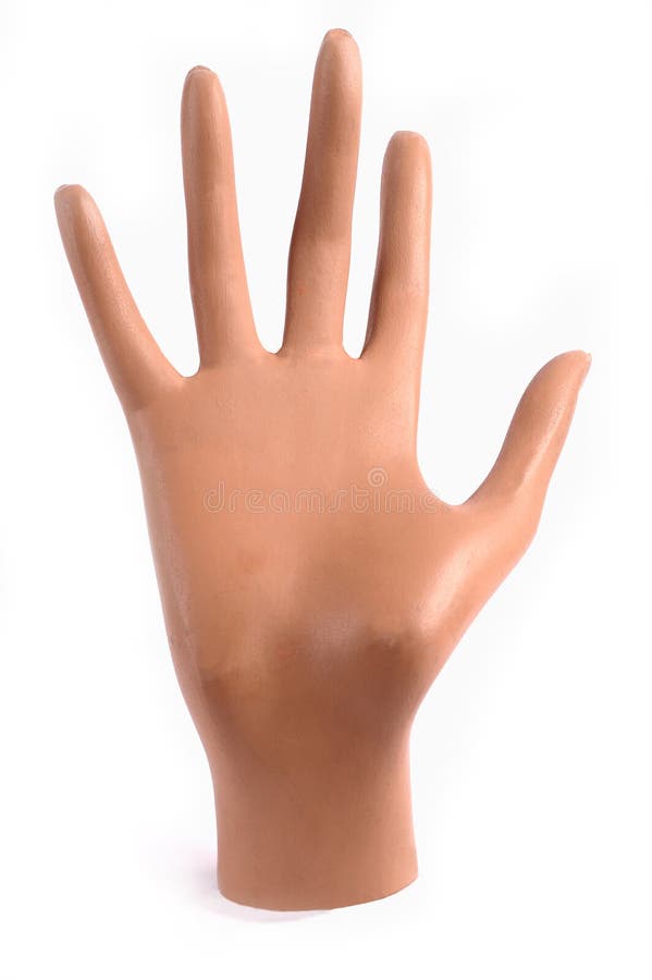 Mannequin hand isolated