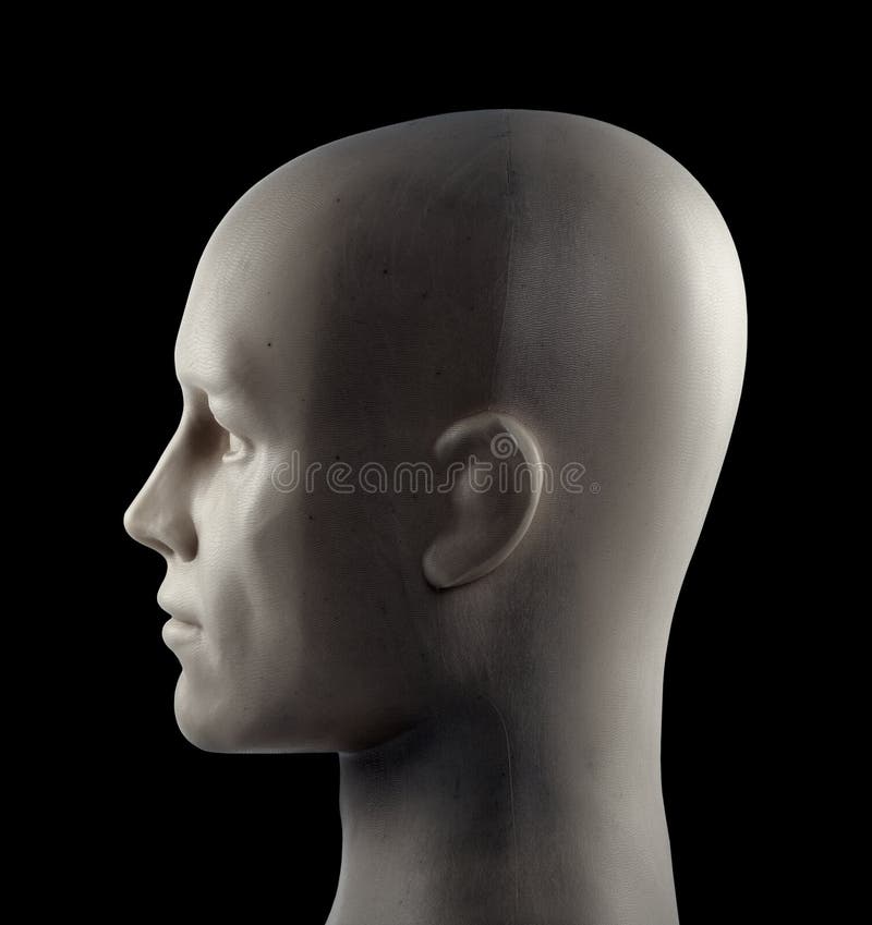 Side View Of White Female Mannequin Head Stock Photo - Download