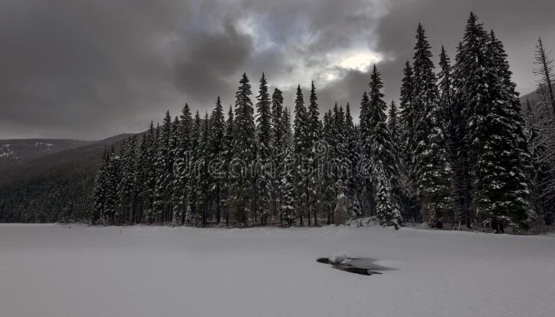 Manning Snow lizenzfreie stockbilder Manning Snow lizenzfreie stockbilder