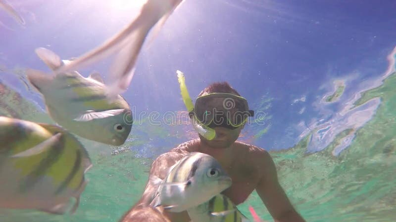 Manntauchen im Korallenriff Schule der Fische Unterwasser-selfie Szene