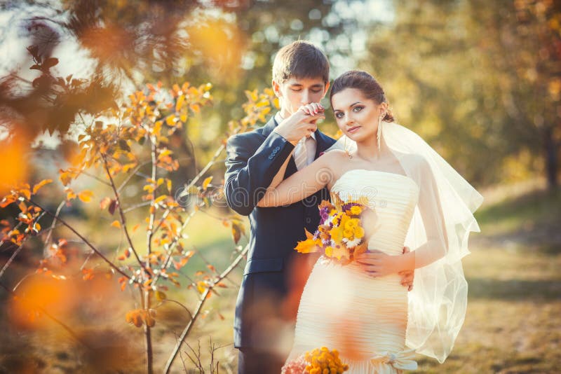 Mano baciante dello sposo della sposa immagini stock Mano baciante dello sposo della sposa immagini stock
