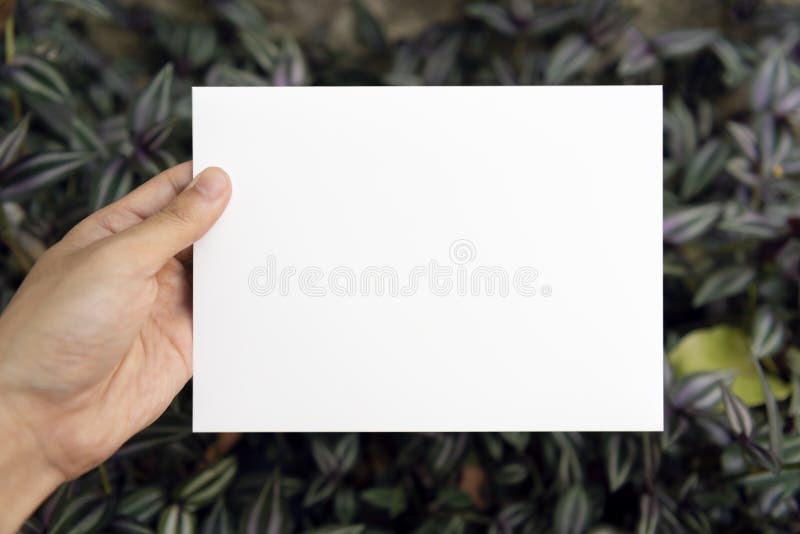 Mano che tiene carta di carta accogliente in bianco sulla foglia verde per la partecipazione di nozze di progettazione del modell immagini stock libere da diritti Mano che tiene carta di carta accogliente in bianco sulla foglia verde per la partecipazione di nozze di progettazione del modell immagini stock libere da diritti