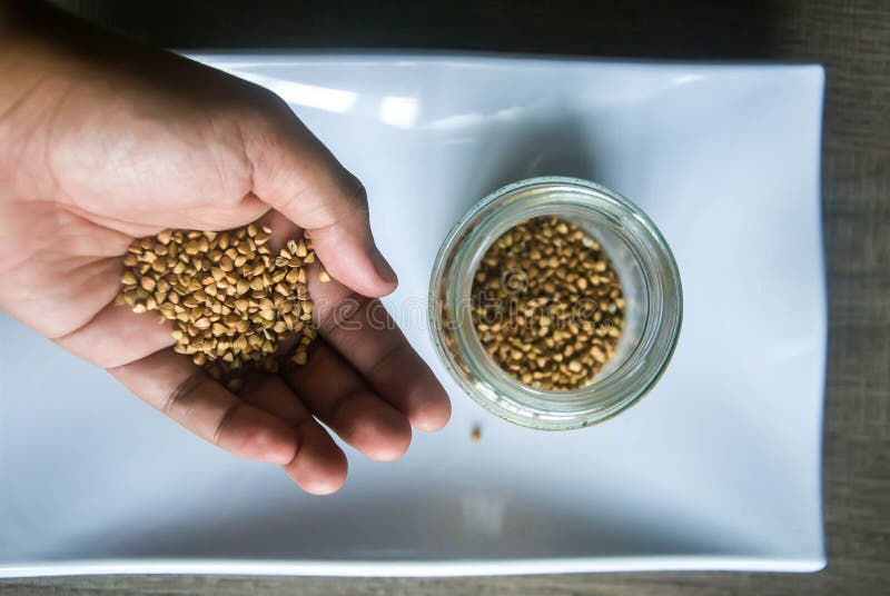 Mano che tiene grano saraceno organico Fuoco selettivo immagine stock libera da diritti Mano che tiene grano saraceno organico Fuoco selettivo immagine stock libera da diritti