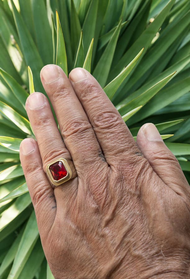 Mano con anillo archivo. Imagen rojo, hombre - 231737008