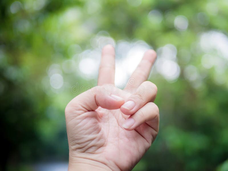 Mano con due dita su nella pace o nel segno per il simbolo di pace o della vittoria su sfondo naturale immagini stock libere da diritti Mano con due dita su nella pace o nel segno per il simbolo di pace o della vittoria su sfondo naturale immagini stock libere da diritti