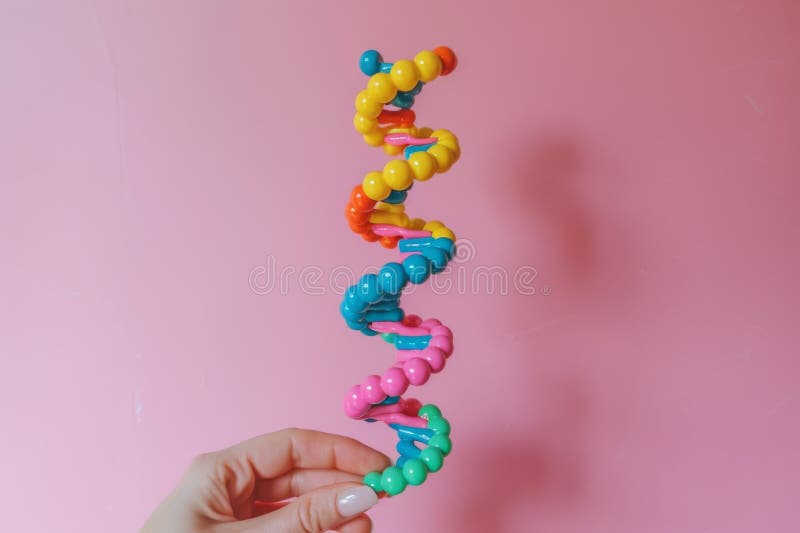 Mano con elica dna arcobaleno su fondo rosa che evidenzia la diversità e la vitalità delle scienze genetiche illustrazione di stock