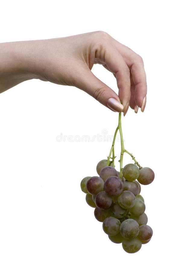 Si Fa Solo Con L uva Mano Con L'uva Immagine. Immagine: 3247673