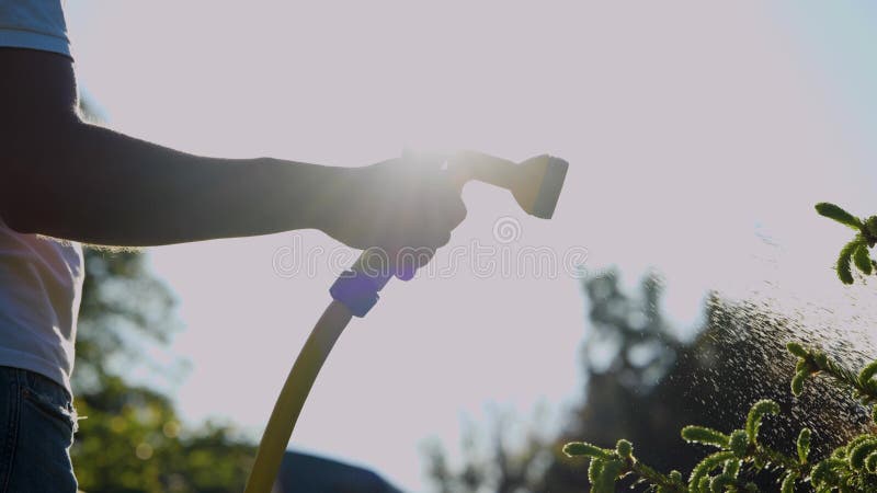 Mano sosteniendo la manguera de agua y regando a la planta en el jardín al  aire libre
