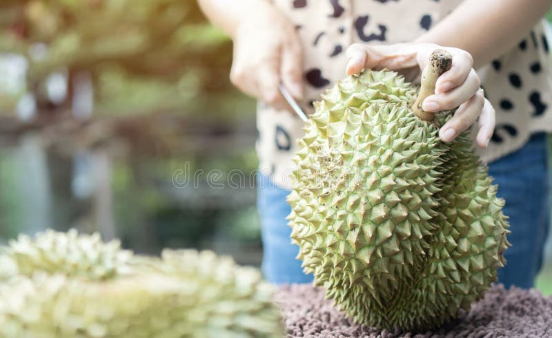 Mujer pelando fruta Stock Photo