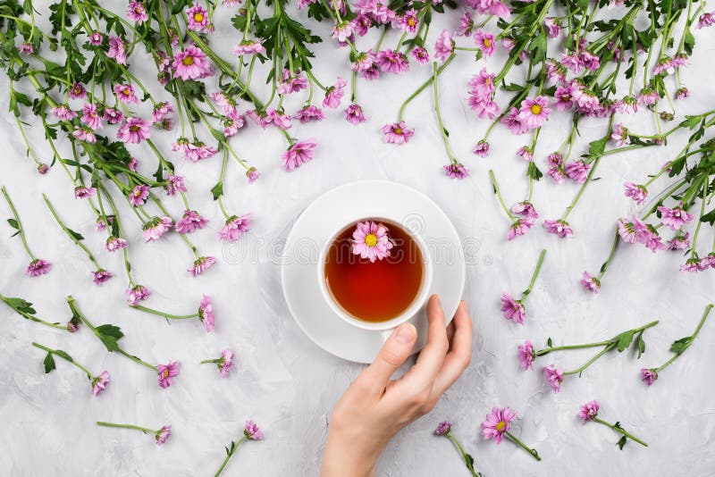 Mano del ` s de la mujer que sostiene la taza de té rodeada por las margaritas rosadas imagen de archivo libre de regalías Mano del ` s de la mujer que sostiene la taza de té rodeada por las margaritas rosadas imagen de archivo libre de regalías