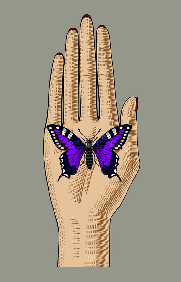 Mano del ` s della donna con una farfalla viola che si siede sulla sua palma illustrazione vettoriale Mano del ` s della donna con una farfalla viola che si siede sulla sua palma illustrazione vettoriale