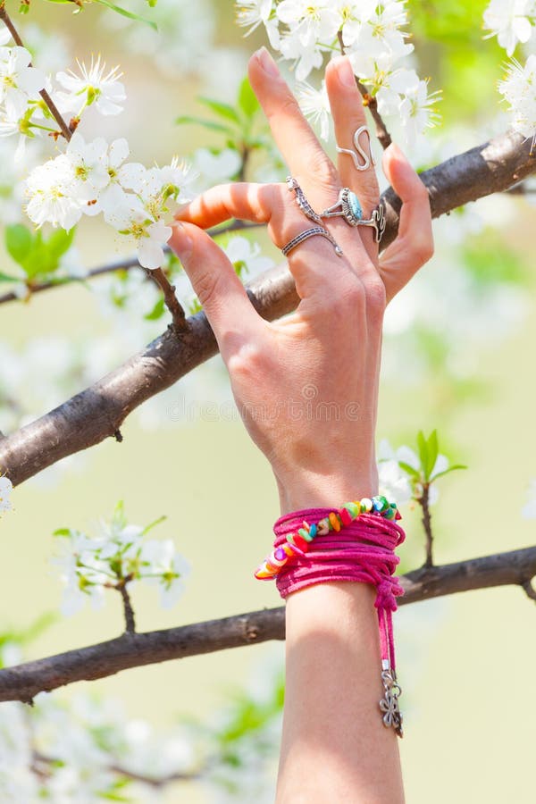 Mano della donna nel gesto di mudra di yoga nel giorno di molla soleggiato all'aperto anteriore del fiore di ciliegia