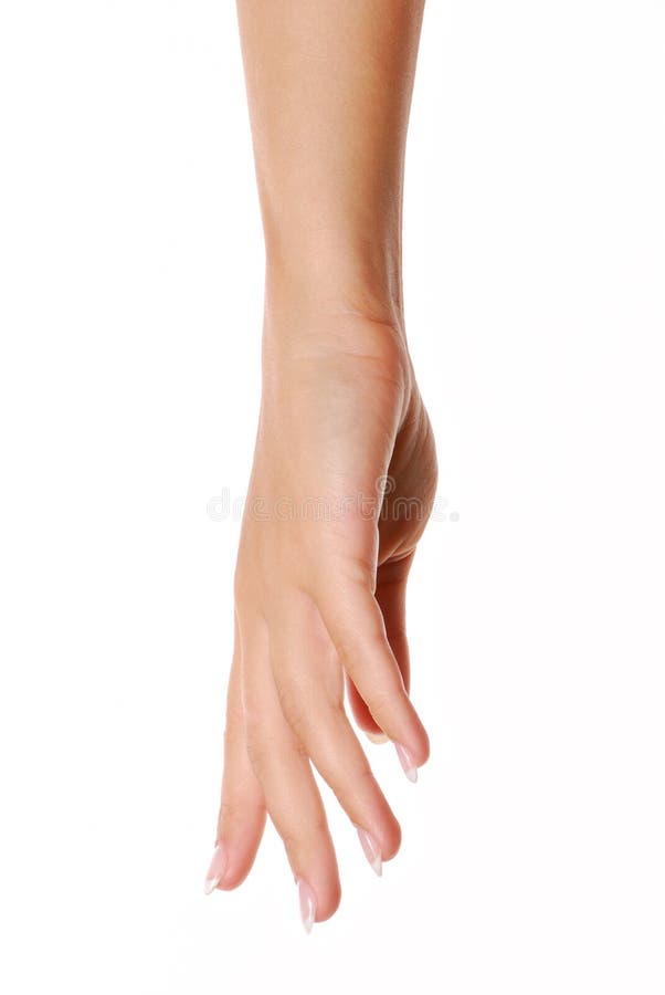 Mano femminile fotografia stock libera da diritti Mano femminile fotografia stock libera da diritti