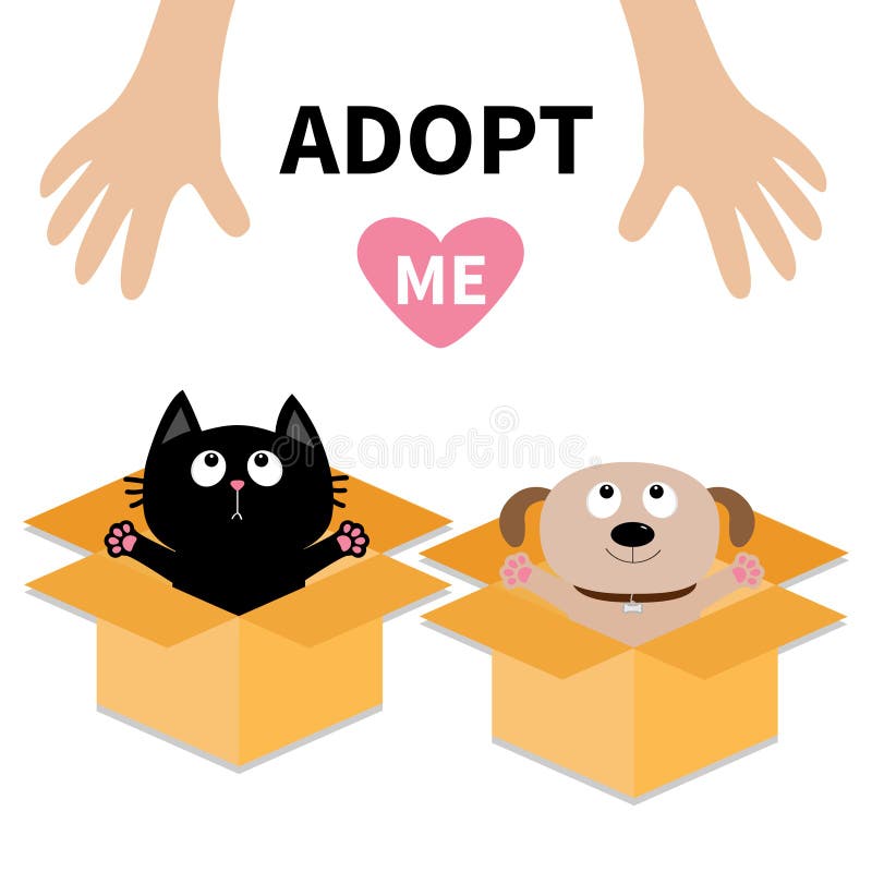 Human hand. Adopt me. Dog Cat inside opened cardboard package box. Ready for a hug. Puppy pooch kitten cat looking up to heart. Pet adoption Flat design Help animal concept White background. Vector. Human hand. Adopt me. Dog Cat inside opened cardboard package box. Ready for a hug. Puppy pooch kitten cat looking up to heart. Pet adoption Flat design Help animal concept White background. Vector