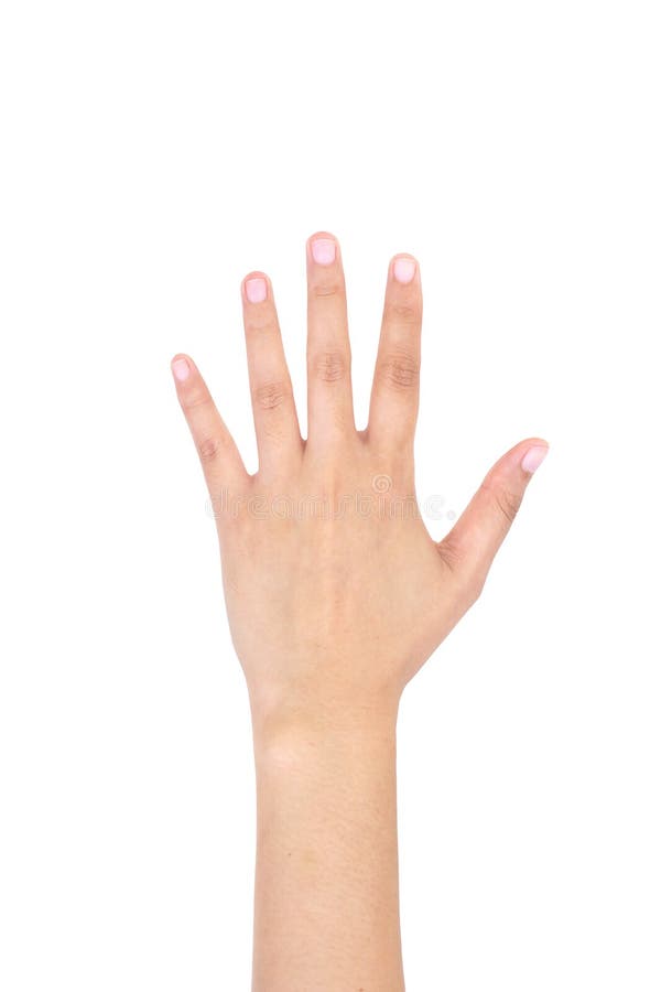 Mano sinistra della donna che mostra le cinque dita immagine stock