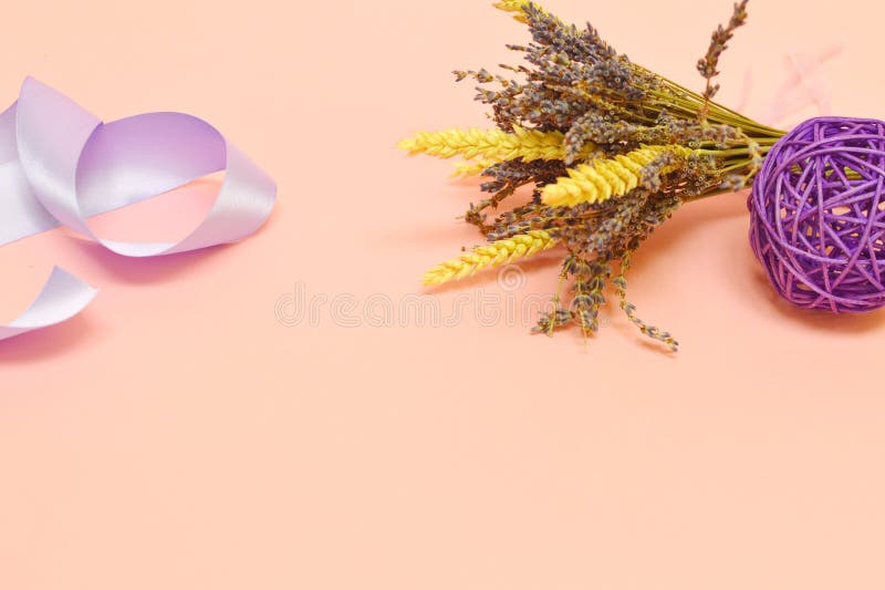 Manojo de lavanda en fondo rosado fotografía de archivo libre de regalías Manojo de lavanda en fondo rosado fotografía de archivo libre de regalías